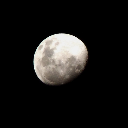[写真] 今回撮影した月