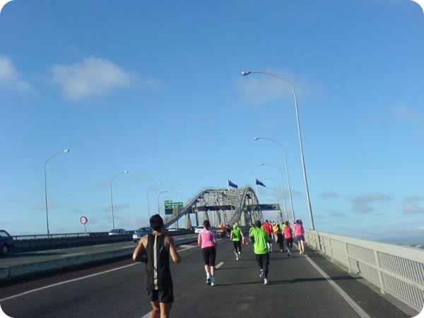 [Picture] The flags on the bridge