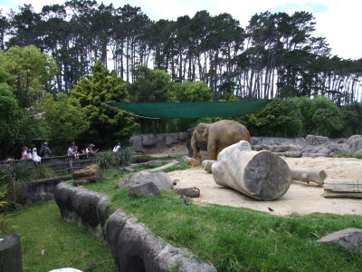 [写真]Auckland Zoo 03