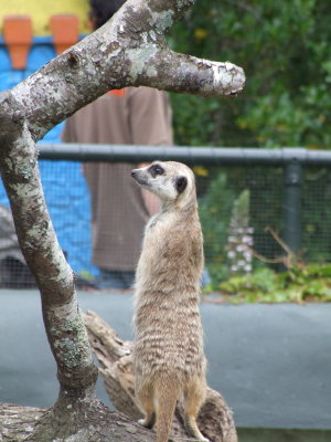 [写真]Auckland Zoo 04