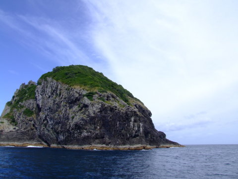 Motukokako Island (273KB)